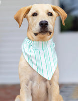 Christmas in JULY - Preorder - Pet Bandana