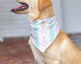 Christmas in JULY - Preorder - Pet Bandana
